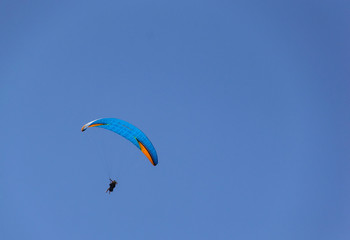 kite in the sky