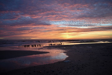 Fototapeta premium Morning Sunrise