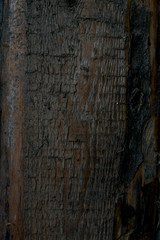 Wooden texture background of wood planks