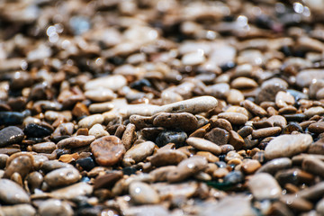 Sea pebble background