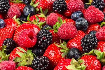 colorful tasty mix of wild forest berry fruits. Strawberry blueberry raspberry and blackberry. healthy eating nutrition vegan food concept background