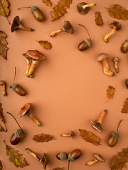 Stuff from an autumn forest.