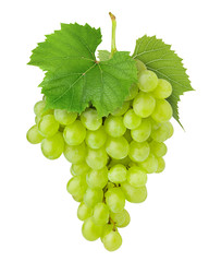 Green grape, isolated on white background, clipping path, full depth of field