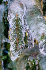 water drops on leaf