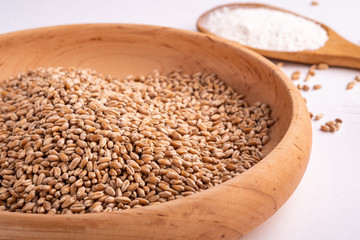 Wheat seeds grains in wooden bowl near with flour in spoon spatula with heap of grains and with ear of wheat, angle view, isolated on white background, copy space