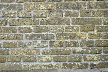 Alte Mauer mit Fugen und gelben Backsteinen