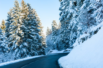 Winter road with snow-covered trees in Alps mountains, France. Beautiful winter landscape
