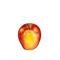 watercolor, red-yellow apple isolated on white background.