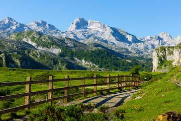 Fototapeta premium Mountain landscape of Picos de Europa, Spain