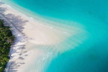 Aerial view serenity exotic sea shore white sand beach green palm tree
