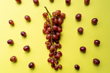 A bunch of ripe purple grapes scattered on a yellow background in the sun. Top view. Close-up