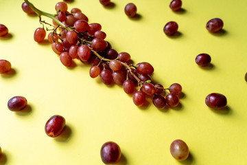 A bunch of ripe purple grapes scattered on a yellow background in the sun. Side view. 