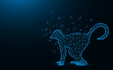 Lemur low poly design, African animal abstract geometric image, zoo wireframe mesh polygonal vector illustration made from points and lines on dark blue background