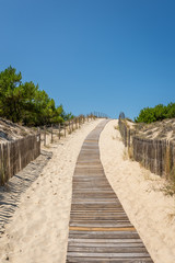 Fototapeta premium BASSIN D'ARCACHON (France), accès à la plage de La Salie