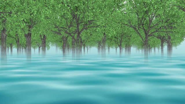 森を進む_ループ_青い池