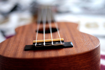 Fototapeta premium Hawaiian guitar at a photo shoot
