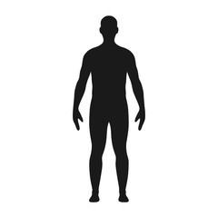 Man silhouette. Illustration of male body silhouette. Vector.