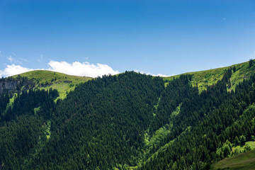 Beautiful summer landscape in Savsat, Artvin province, Turkey