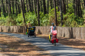 BASSIN D'ARCACHON (France), piste cyclable