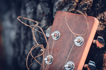 The head of the neck of itara with metal trunks and strings in warm sunlight. Macro. Eye level...