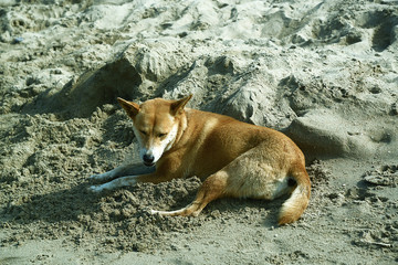 Urlaubsort und Strand in Thailand