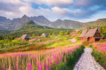 mountain landscape, Tatra mountains panorama, Poland colorful flowers and cottages in Gasienicowa valley (Hala Gasienicowa), summer - obrazy, fototapety, plakaty