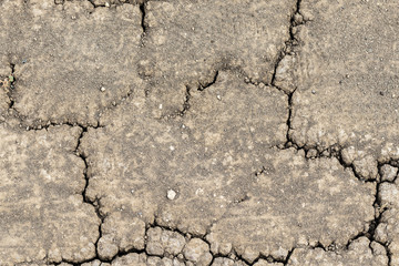Fototapeta premium dry ground texture, dried earth