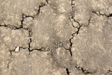 dry ground texture, dried earth