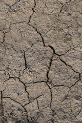 cracks in the ground due to lack of water