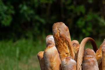 basket filled with french baguette