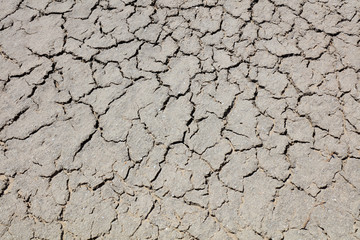 Parched soil in the wild