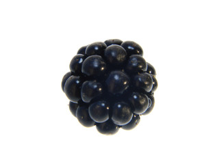 blackberry isolated on white background