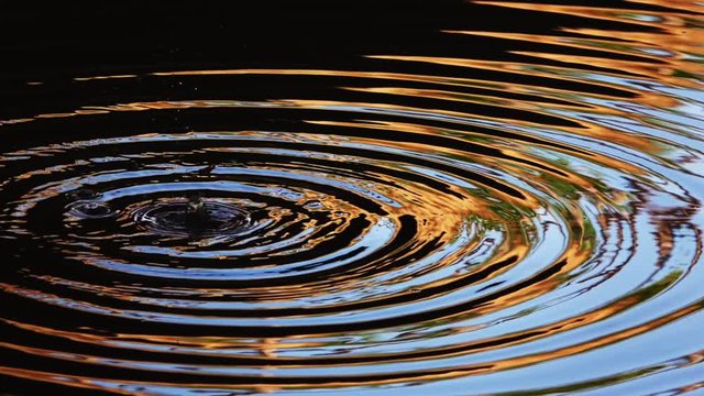 Water Drops and Waves on Lake Water