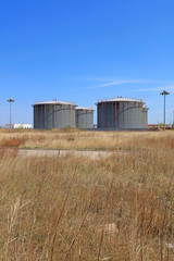 Fototapeta na wymiar Weeds and oil storage tanks under blue sky