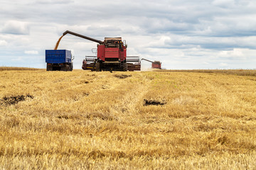 Combine harvester working on a wheat field. Harvesting the wheat. Agriculture.
