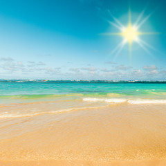 Sunny tropical caribbean beach with sand and turquoise water.