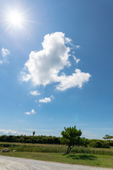 青空と雲