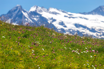 View of the Swiss Alps near the city of Lauterbrunnen. Switzerland.