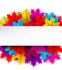 Autumn background with color maple leaves.