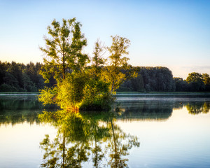 Tranquil lake at sunrise with reflections of leafy green trees on the surface of the water and a golden glow in the sky on the horizon in moody morning light