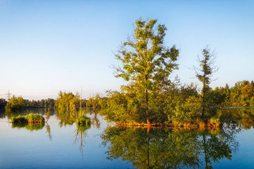Tranquil lake at sunrise with reflections of leafy green trees on the surface of the water and a golden glow in the sky on the horizon in moody morning light