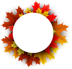 Autumn background with colorful maple leaves.