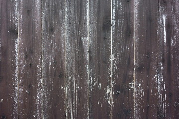 wood texture. background old panels 