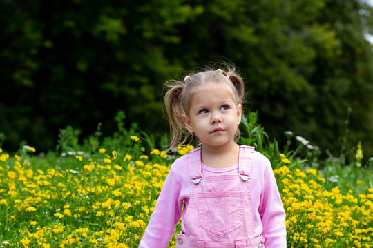 Portrait of thinking and dreaming child walking in the summer field