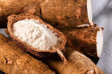 Manihot esculenta (cassava, yuca, manioc, mandioca, Brazilian arrowroot) and tapioca