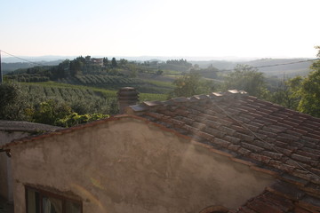Beautiful spot of a tuscan field