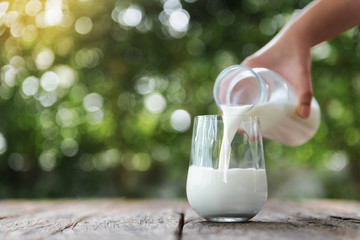 Pouring milk in the glass on the wooden table with bokeh background of nature. - obrazy, fototapety, plakaty