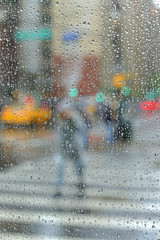 Heavy rain in New York City. United States