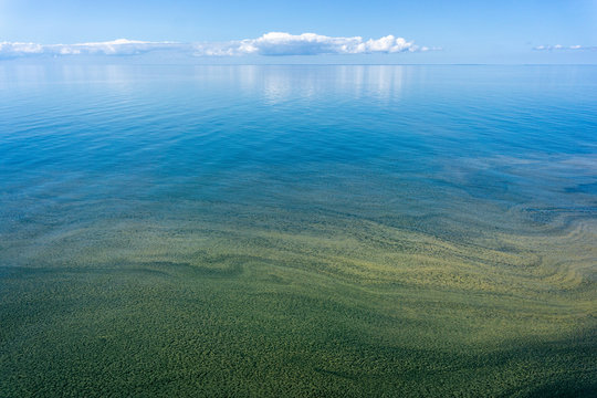 Brown And Green Plankton Bloom In The Baltic Sea