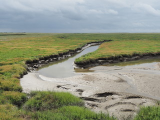 UNESCO-Weltnaturerbe - Nationalpark Wattenmeer 